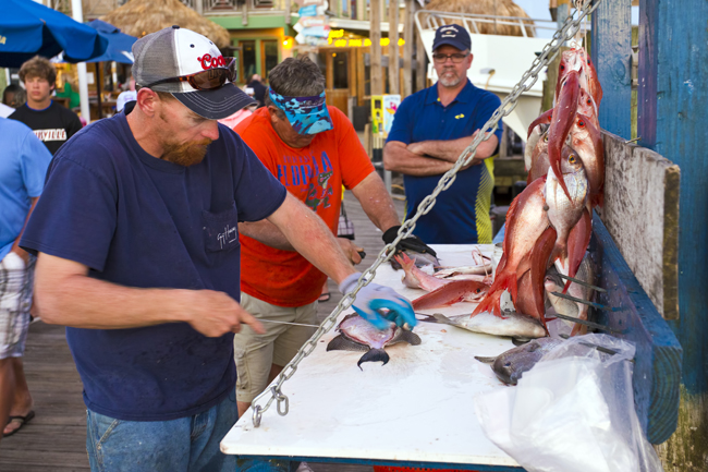 head boat fishing boats destin